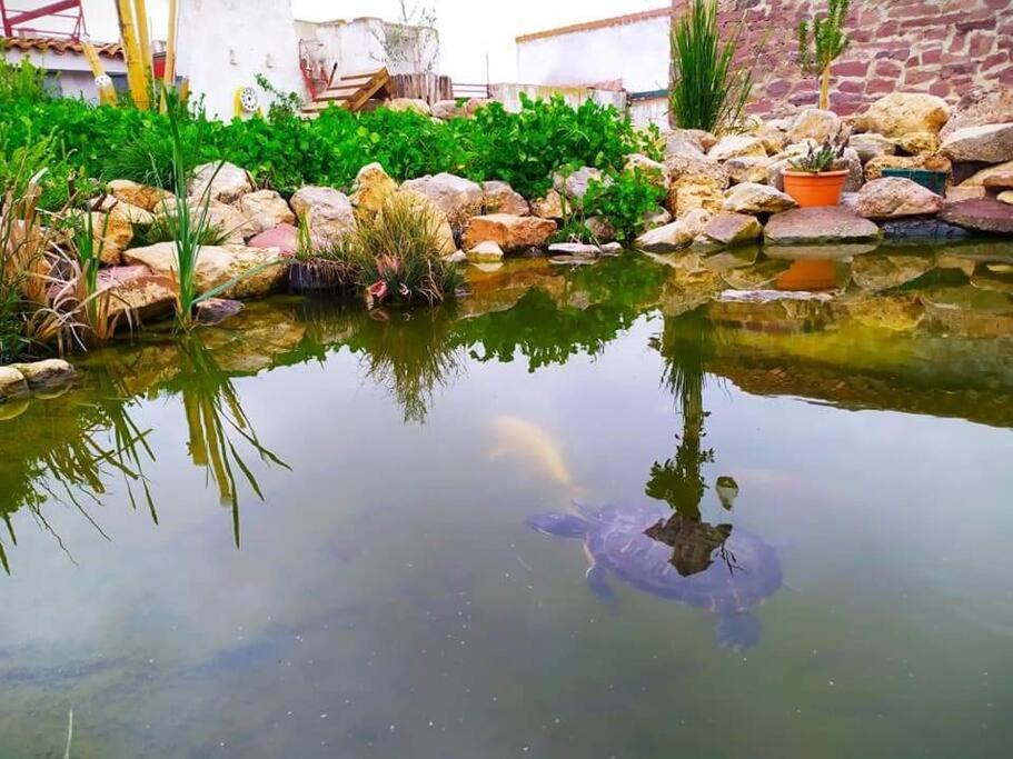 Holiday home La Quibla De Abuhan Caude