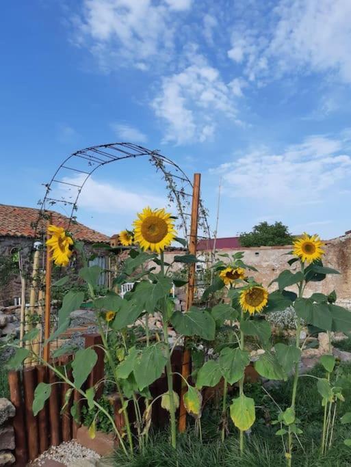 La Quibla De Abuhan Casa de vacances *